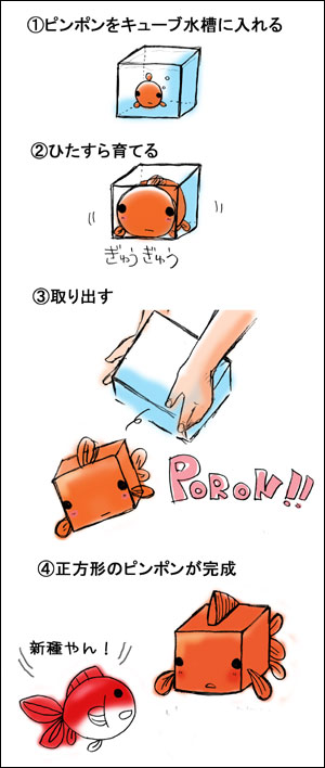 cubepinpon.jpg