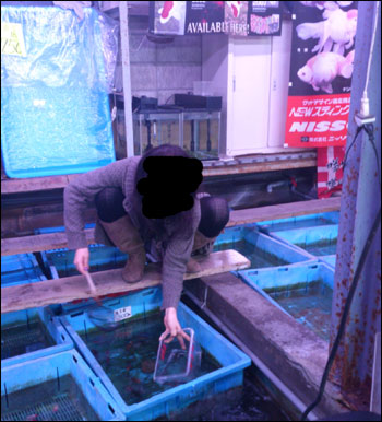 sukuioutosoure.jpg