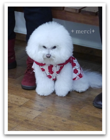 merci_20140120212843eac.jpg