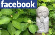 facebook.jpg