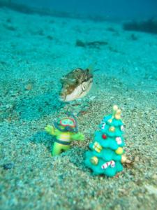 ガチャピン & クリスマスツリー