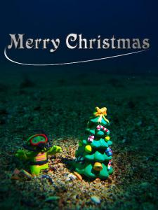 merry.jpg