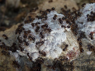 20100910194624aa1-1.jpg