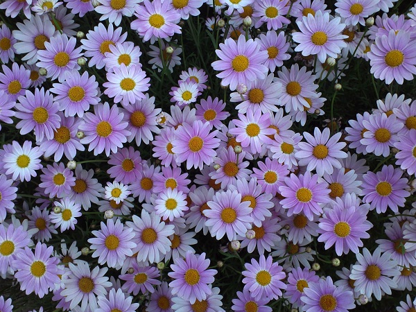 201305-8-5-1.jpg