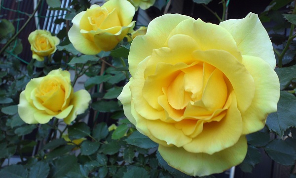 20130508-1-1_20130709195942.jpg