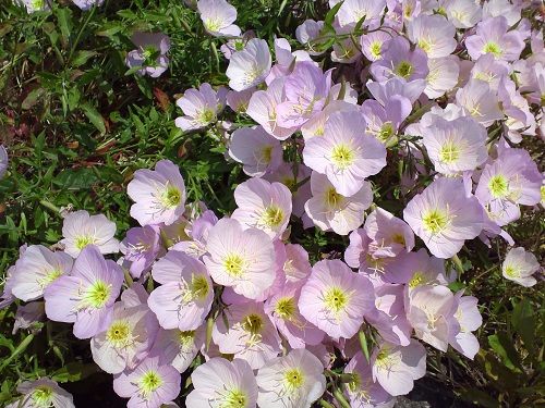 20130509-6-1.jpg