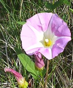 20130519-1-1.jpg