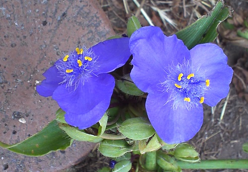 20130610-7-1.jpg