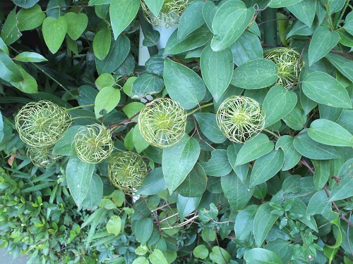 KIMG0003-1.jpg