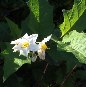 KIMG0006-1.jpg