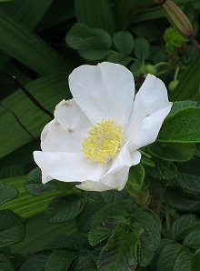 KIMG0009-1.jpg
