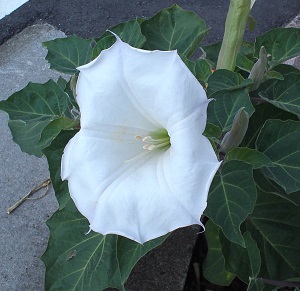 KIMG0028-1.jpg