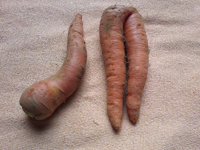 KIMG0035-1.jpg