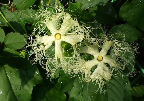 KIMG00586-6.jpg