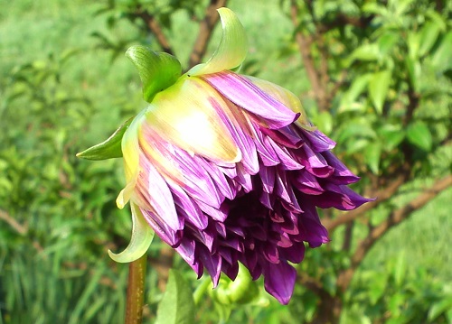 KIMG0083-1.jpg