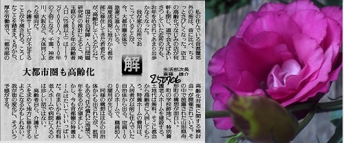 img051_20130711093449.jpg