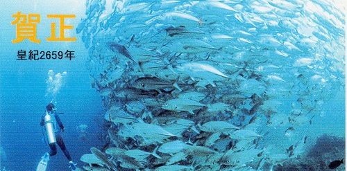 img072.jpg