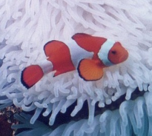 img088-1.jpg
