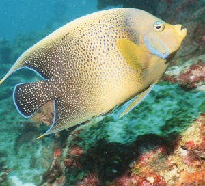 img101-2.jpg