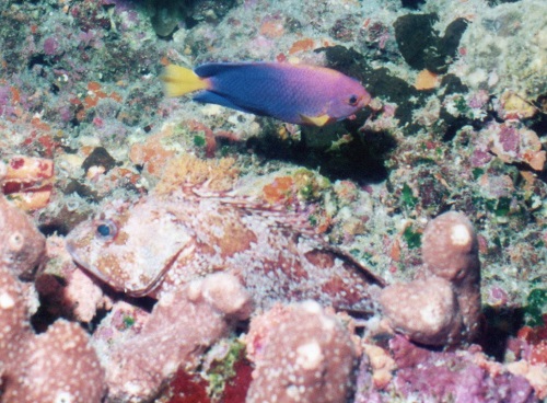 img538-1.jpg
