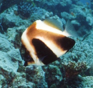 img632-1.jpg