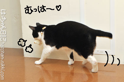 130311-1.jpg