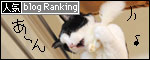 banner130303.jpg