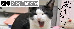 banner130305.jpg