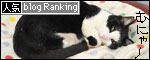 banner130308.jpg