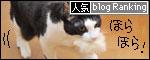 banner130311.jpg