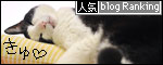 banner130312.jpg