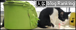 banner130313.jpg
