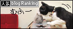 banner130315.jpg