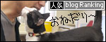banner130316.jpg