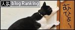 banner130326.jpg
