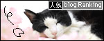 banner130328.jpg