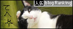 banner130403.jpg