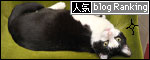 banner130410.jpg