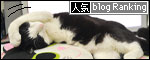 banner130429.jpg