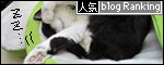 banner130502.jpg