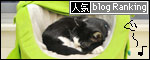 banner130519.jpg