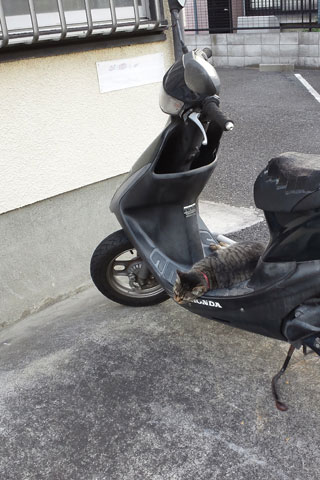 20120731.jpg