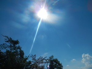 DSCN0852.jpg