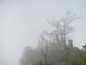 DSCN1241.jpg