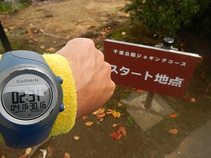 DSCN1414.jpg
