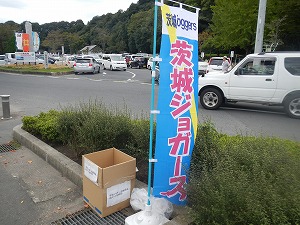 DSCN1418.jpg