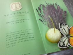 hibi 73404