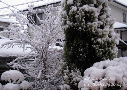雪