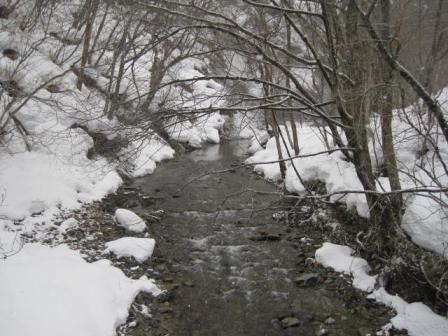 IMG_6358.jpg