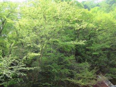 IMG_6755.jpg
